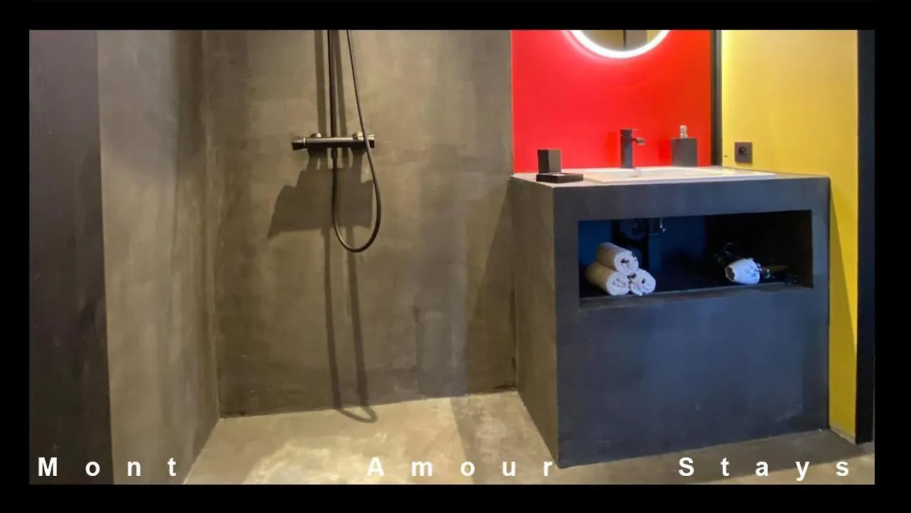 Loft Mirage - Proprietes Mont Amour Apartment Montriond 0*,  France